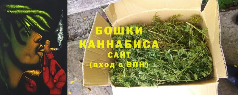 Канабис Bruce Banner  закладки  Октябрьский 